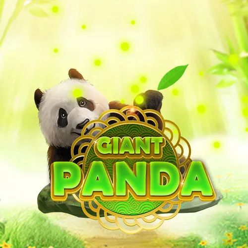 Giant Panda